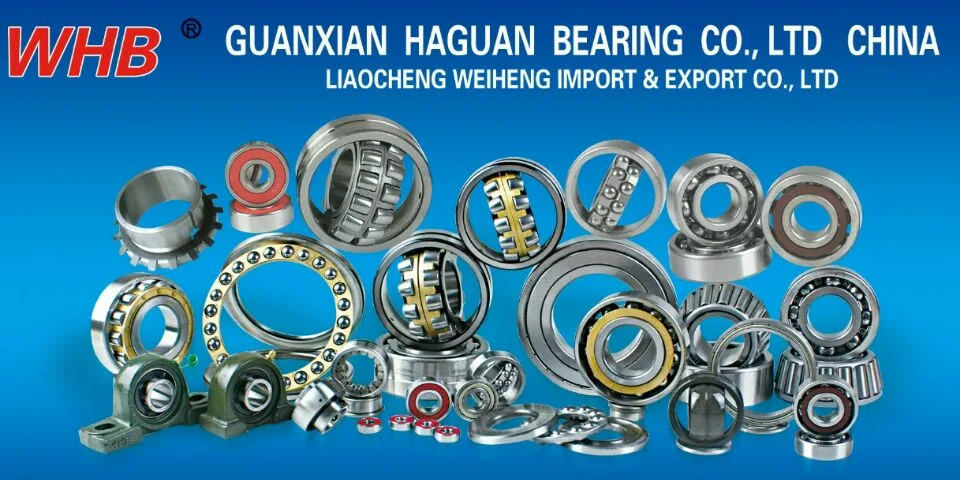 Whb Brand China Factory 4.058 Mr0025 Mr0005 Axial Fixed Compound Combine Bearing Winkel Composite Support Combined Track Roller Bearing for Forklift