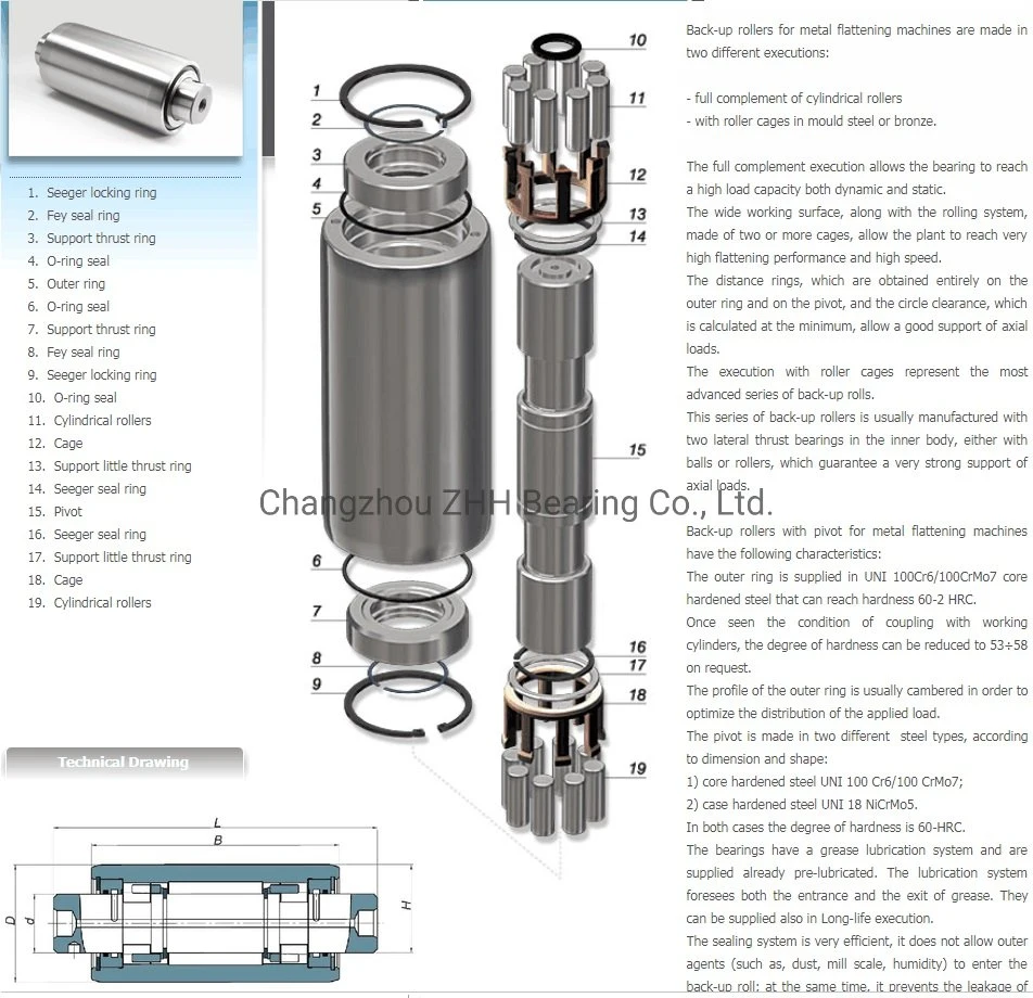 Cr Back up Roller Bearing 3.0009/3.0010/3.0011/3.0012/3.0013/3.0014/3.0015/3.0016/3.0017